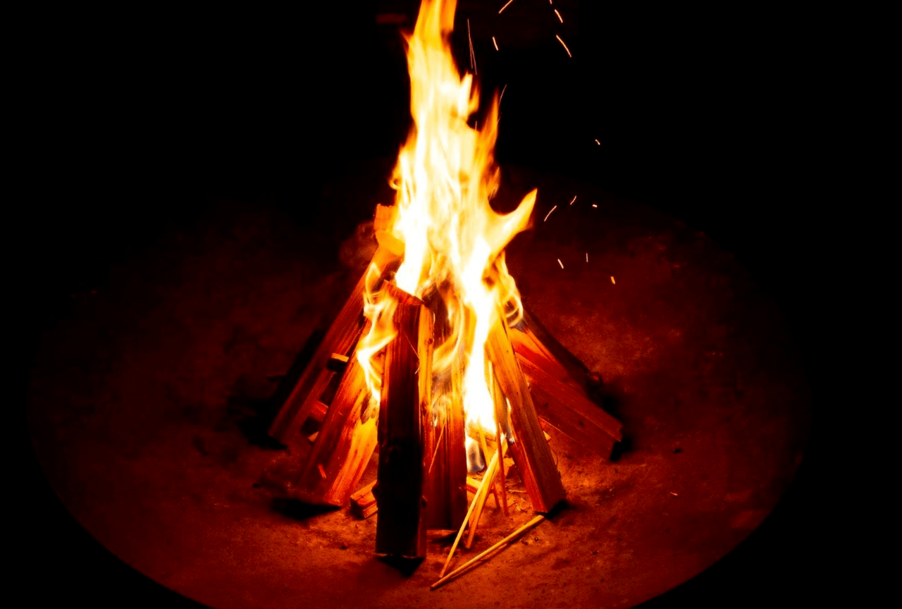 ウッドデザインパーク岡﨑_8