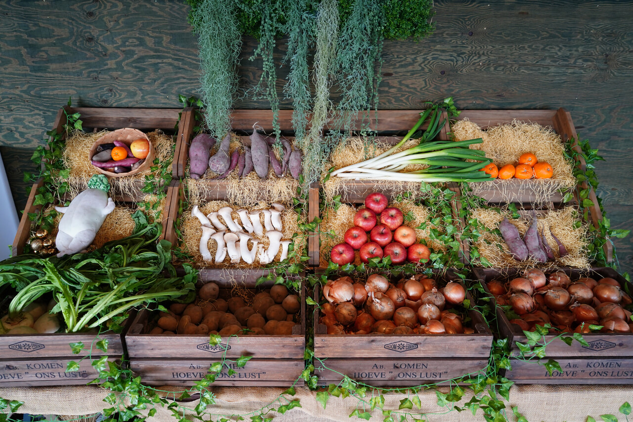 グランピングヒルズ アウラテラス茨城_12