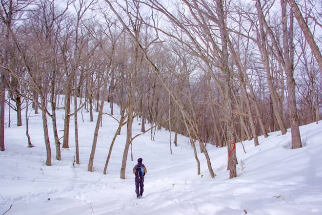 スノートレッキングデビューにお勧め