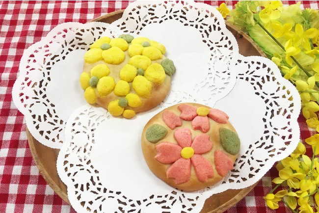 ソレイユの丘_菜の花まつり_10