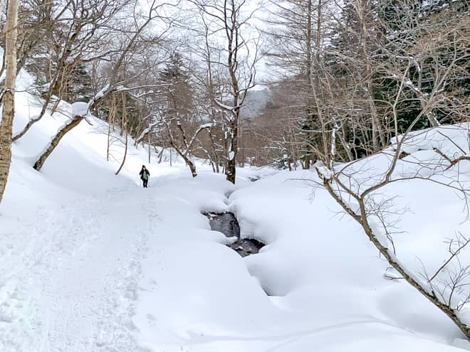 ハイキングコースの脇には