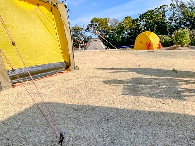 ペグの刺さり具合は?