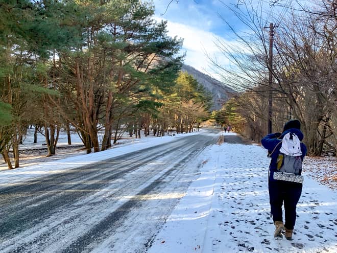 今回は登りで富士山の絶景を