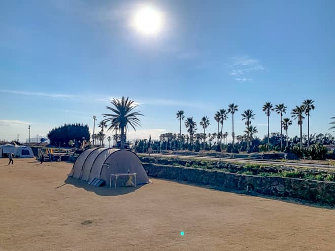 傾斜も殆どなく、広場のような雰囲気で日当たりが良いフィールド