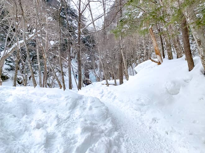 同じような景色が続くのでゴールまでとても長く感じますが