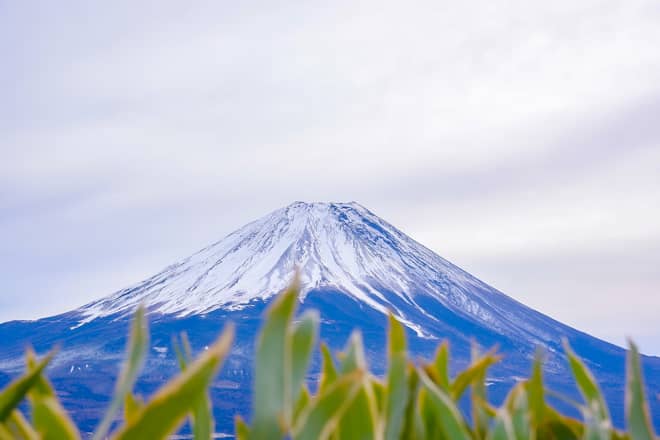 富士山の眺望がすばらしい