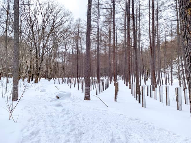 少しだけ進むと