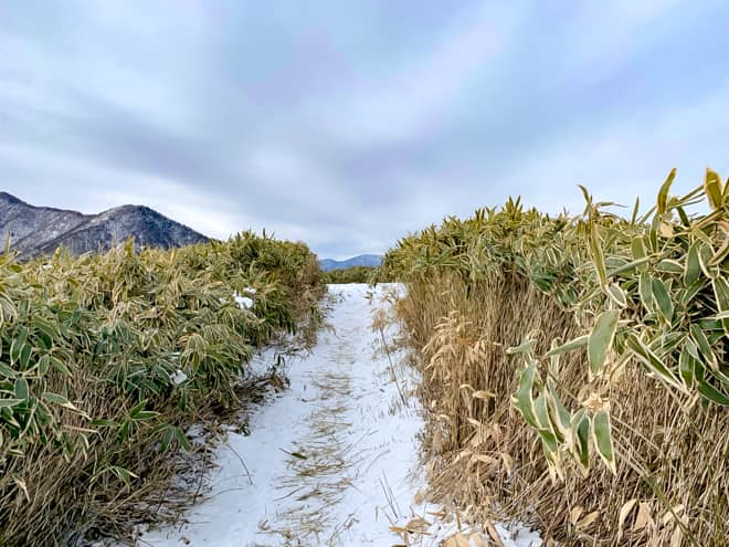 広場のような場所が見えてきましたね