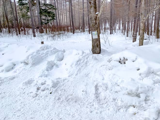庵滝までの正式なハイキングルートは無い