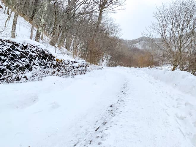 弓張（ゆみはり）峠を目指す