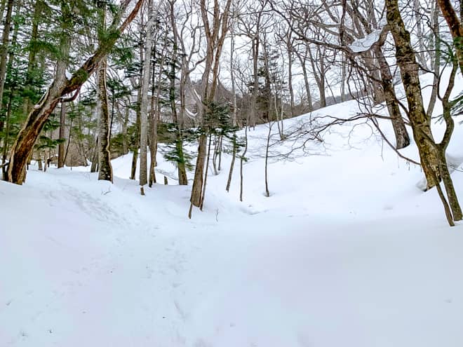 柱群を抜けると登りが続きます