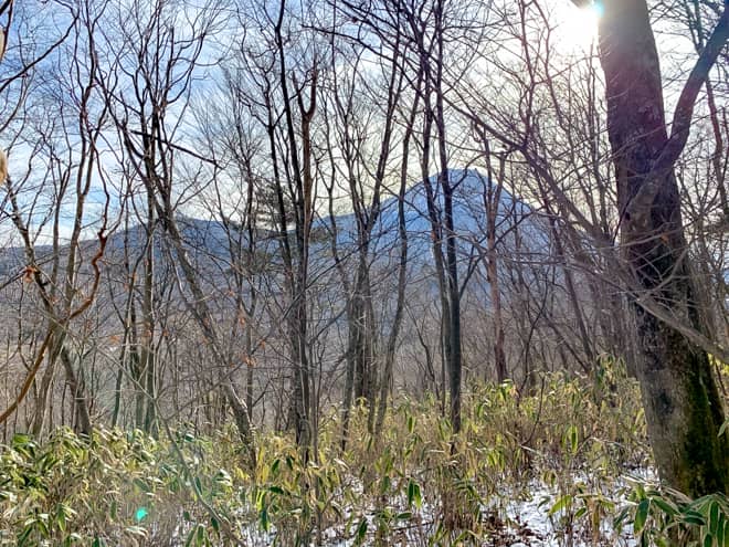 案内板を過ぎたあたりから