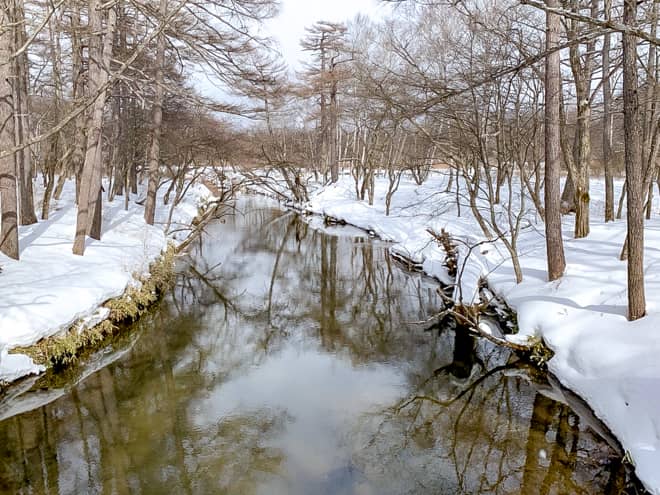 橋の上からは戦場ヶ原と湯川を一望できます