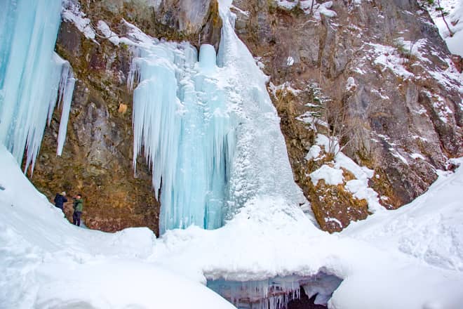 気温が高い年は