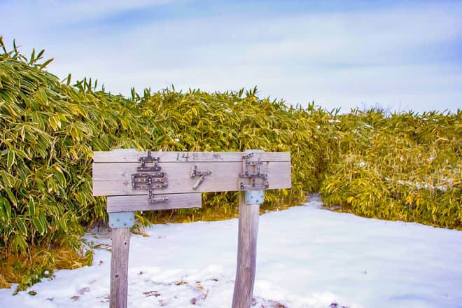 竜ヶ岳に登ってみてわかったこと