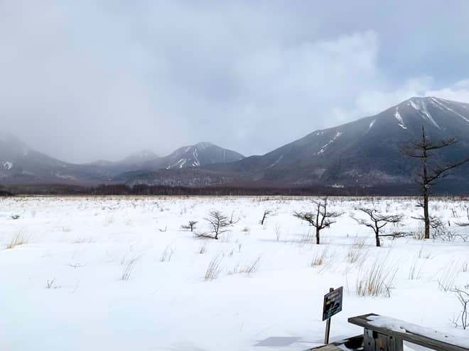 筆者の場合、出だしから道を間違えてしまったので