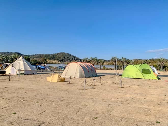 芝生がフカフカ