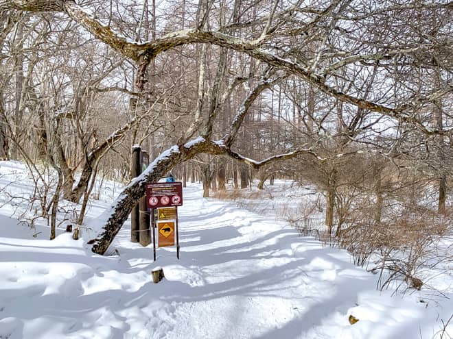 赤沼からのルートは
