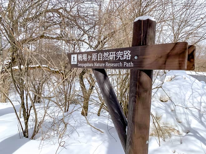 赤沼から小田代原を目指す