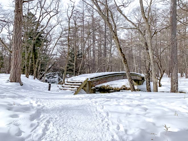 道があっていると、大きな橋が見える筈です