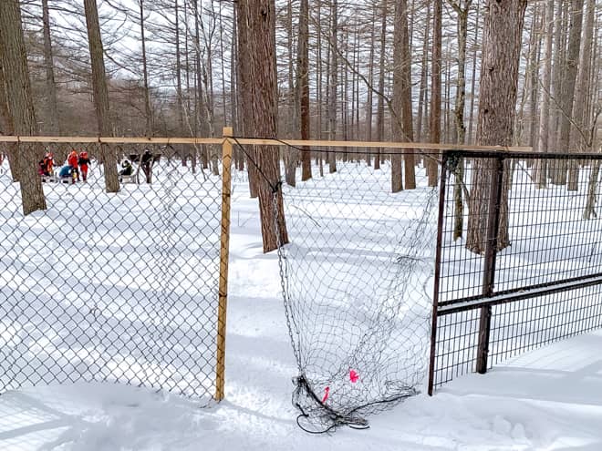 鹿よけのネットが2か所ある