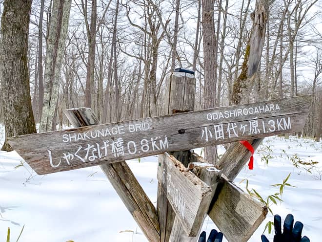 1.3キロ地点にも分岐点がありますが