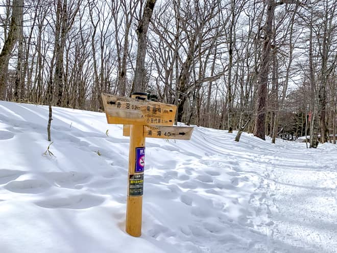 200メートルほど進むと案内板がみえてくるので