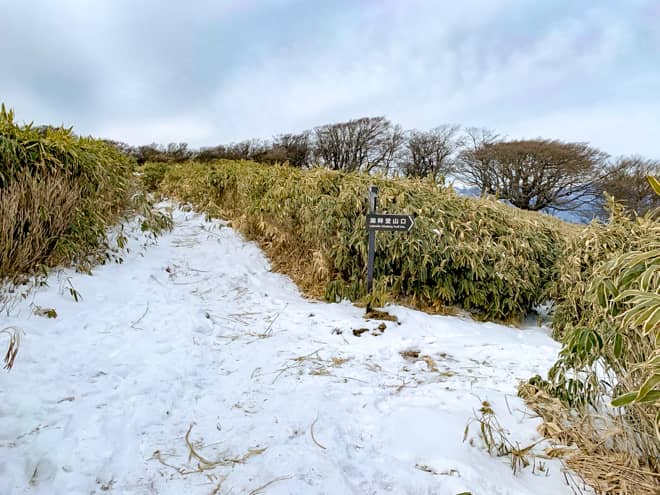 600メートルほど進むと