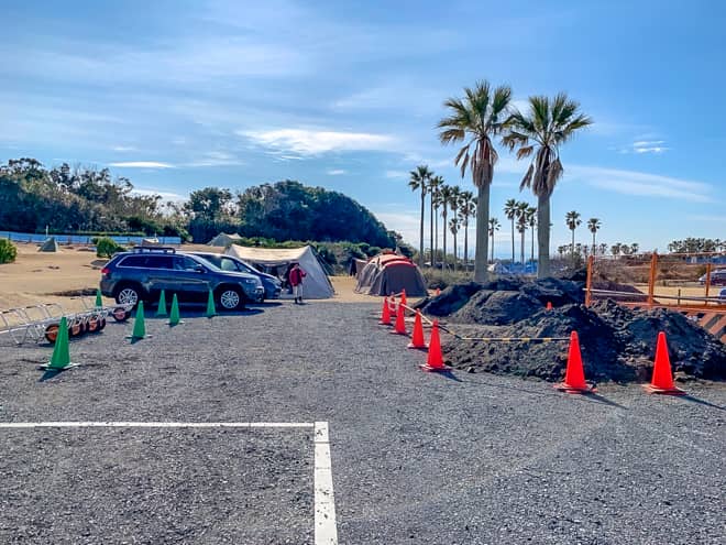 DXヤシの木オートサイト