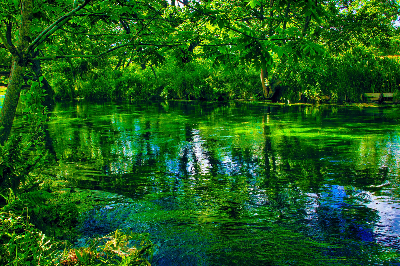 GLAMP DOME_富士忍野_18