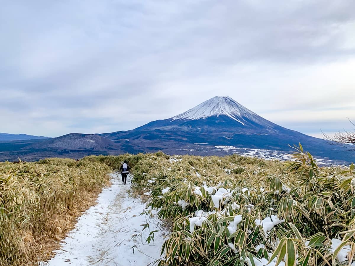 【山梨】「竜ヶ岳」富士山の絶景を存分に満喫できる日帰り登山できる山
