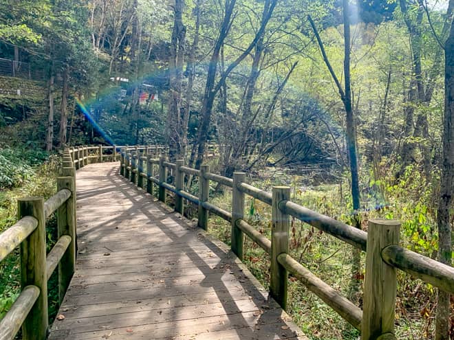 この先は木道と整備された木の橋を歩きます