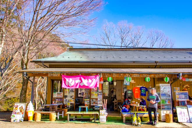 これがルーメソの正体です