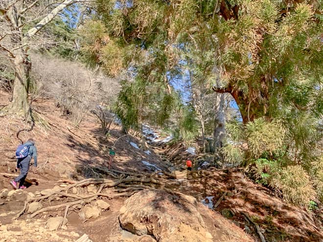 これはどうみても初心者向きではない山だなと思いました