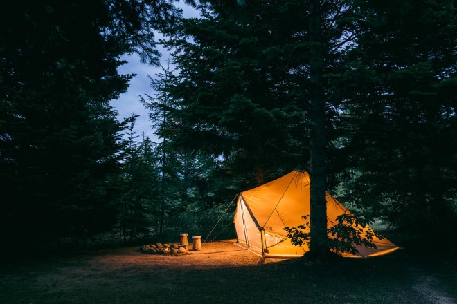サバティカル モーニンググローリーTC