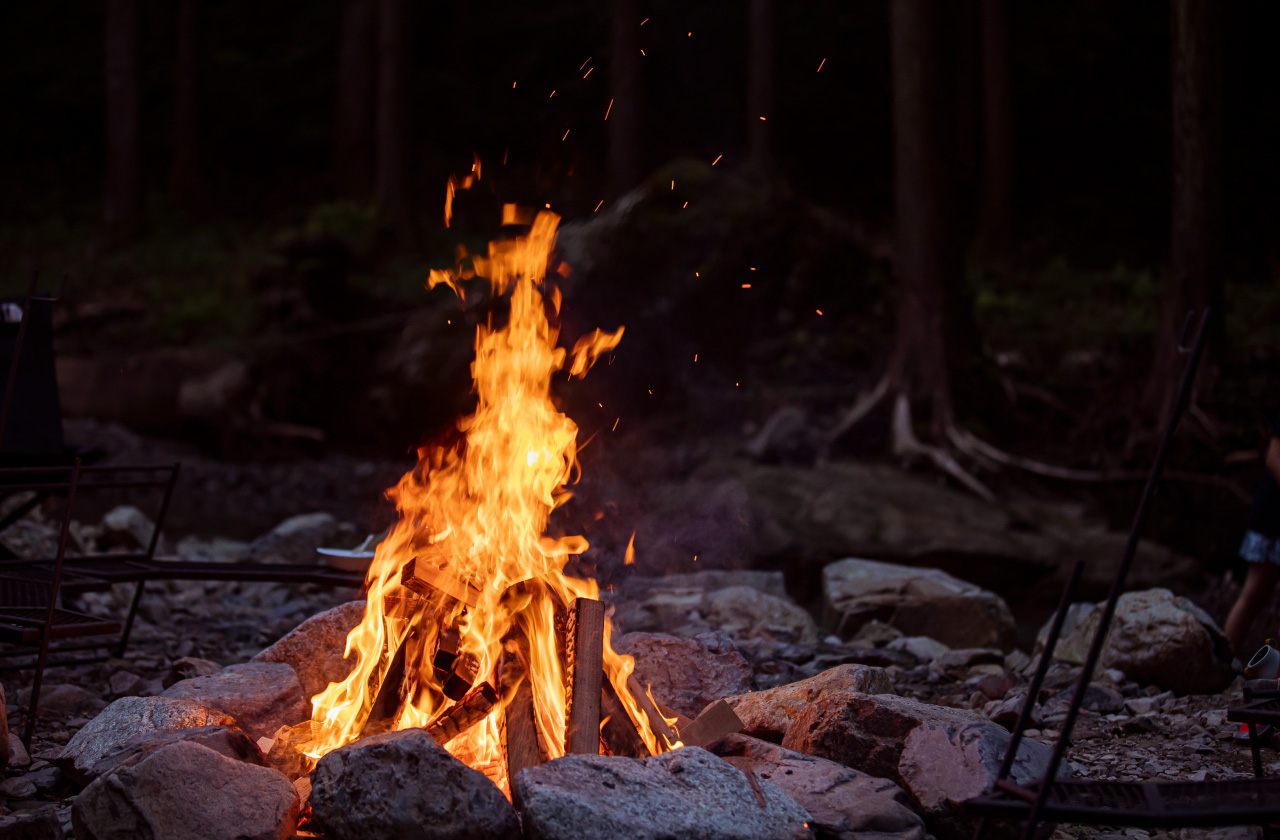 ジャパンネイチャークラブ (6)