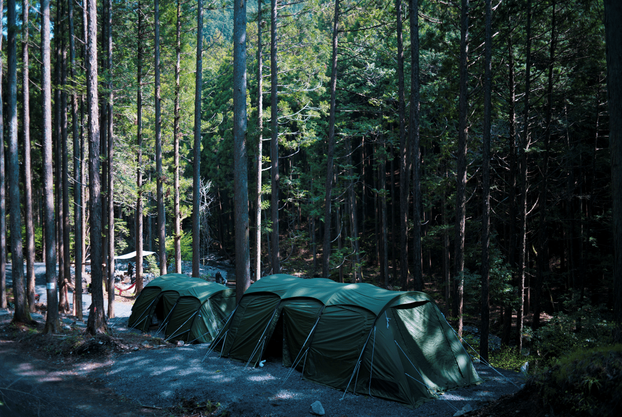 ジャパンネイチャークラブ