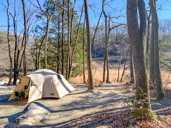 テントサイトは全て100㎡以上の広さ