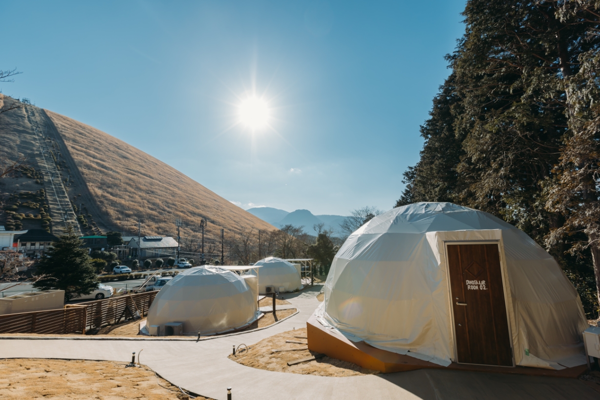 伊豆シャボテンヴィレッジ_11