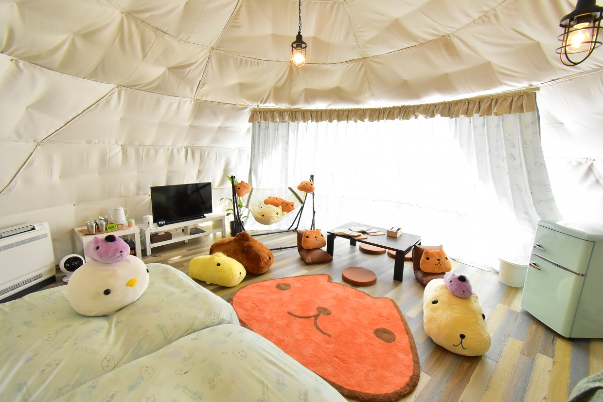 伊豆シャボテンヴィレッジ_12