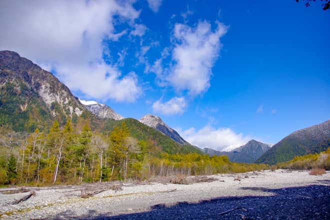 全体的に木々に囲まれた林道が続きますが