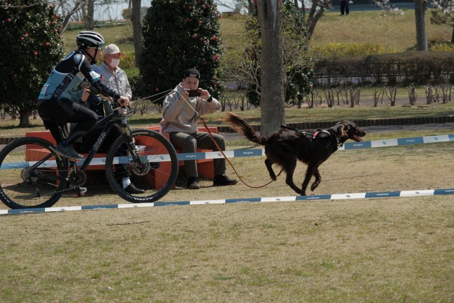 土浦レイクサイドバイクロア_5