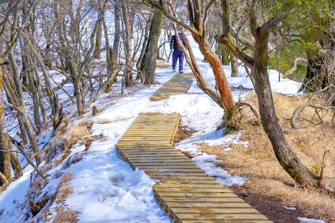 大山に登ってみてわかったこと