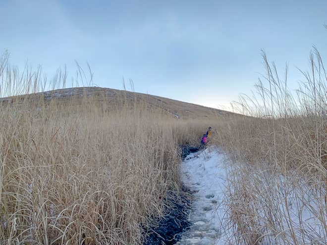 山中湖と富士山の絶景スポット「鉄砲木の頭」