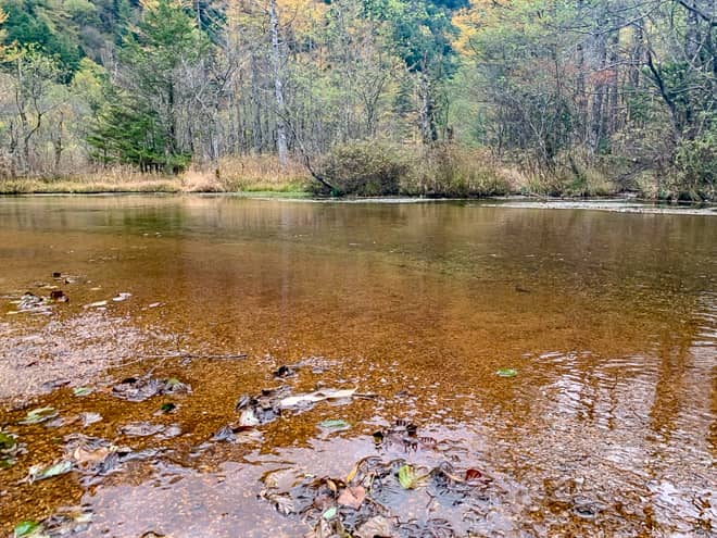 当時は水深5メートルもあった田代池は
