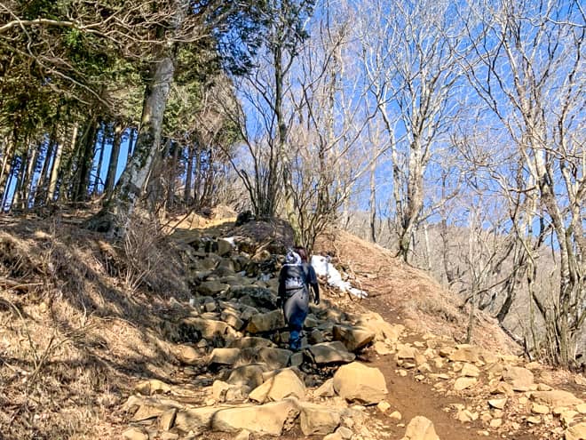 標高1000メートルを超えたあたりから景色も段々と開けてきます