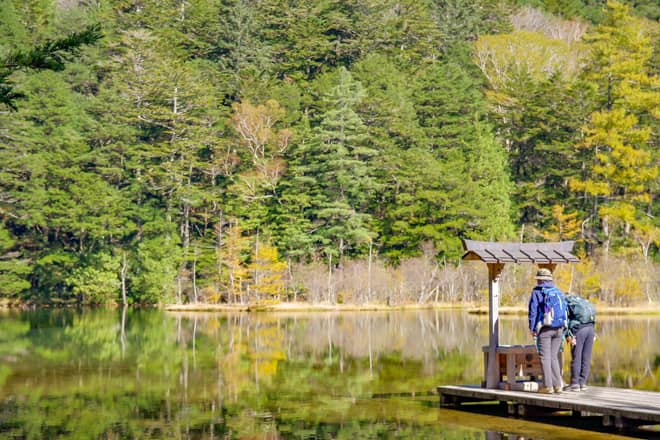 河童橋から明神池～岳沢湿原を周回