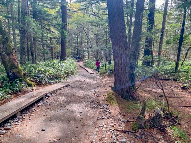 田代橋→田代池