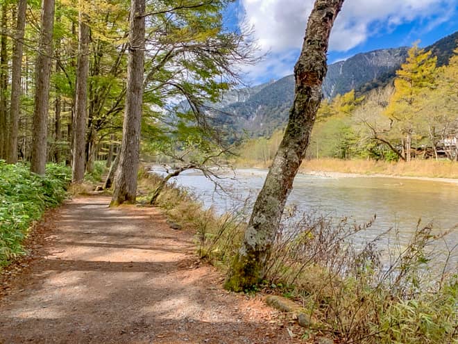 田代橋までは平坦で大変整備された道を歩きます