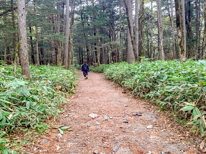 田代池→大正池